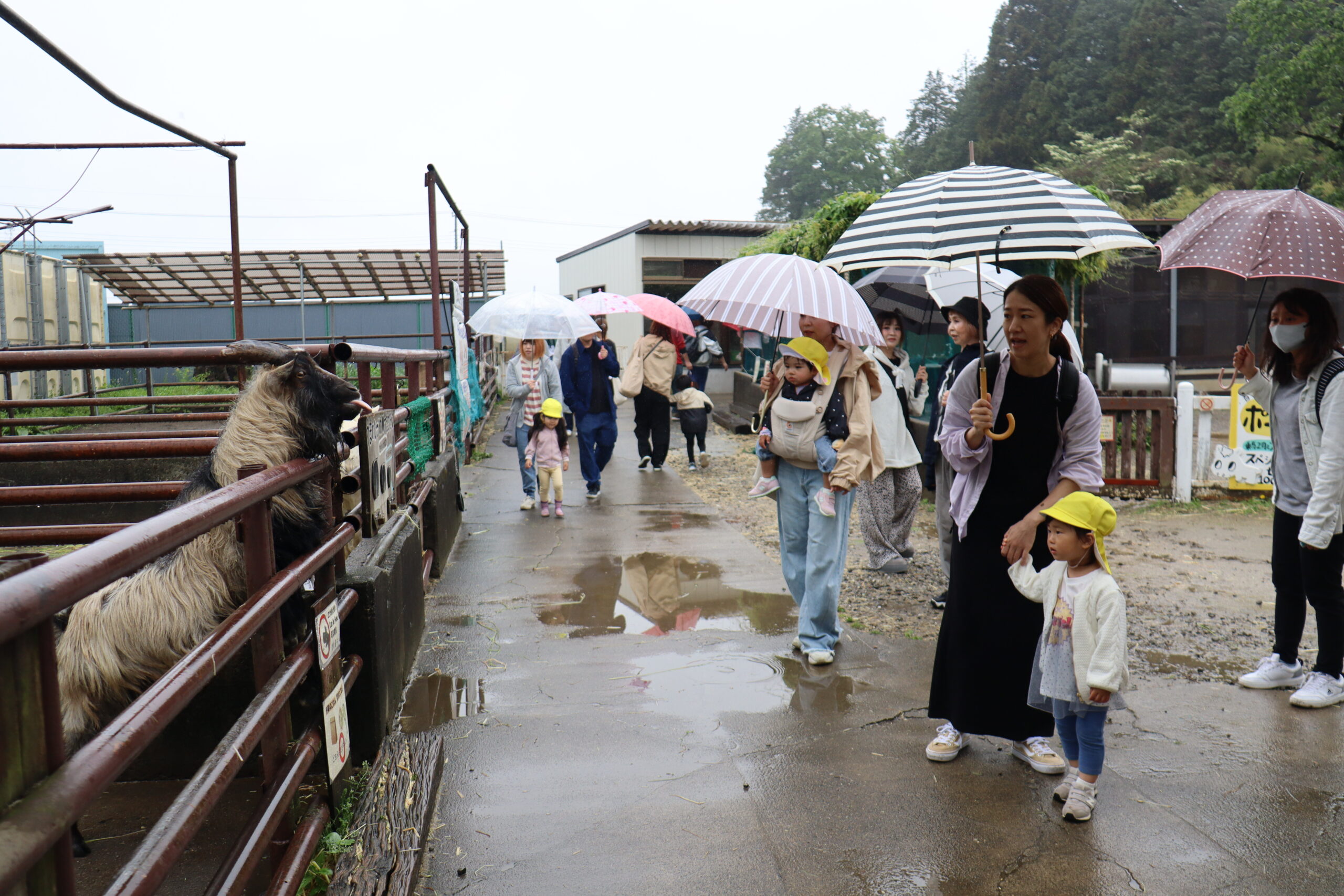 親子遠足